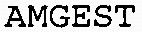 AMGEST_logo