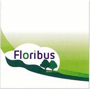 FMARK0000000004035986