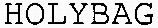 HOLYBAG_logo