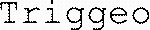 Triggeo_logo