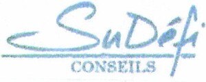 SUDEFI CONSEILS_logo