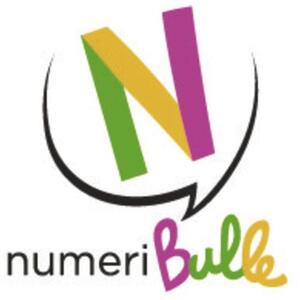 N NUMERIBULLE_logo