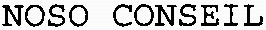 NOSO CONSEIL_logo