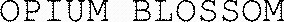 OPIUM BLOSSOM_logo