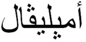 AMPLIVAL_logo