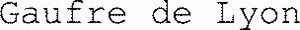 Gaufre de Lyon_logo