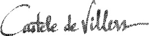 CASTELE DE VILLEN_logo