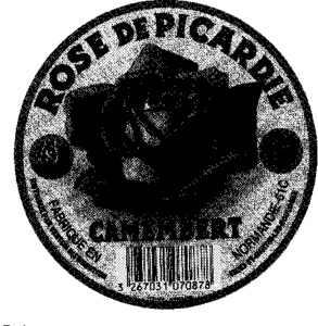 ROSE DE PICARDIE_logo