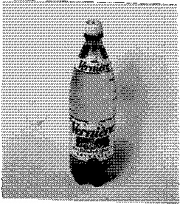 FMARK0000000093466303