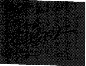 ELIOT LM NORDANE_logo