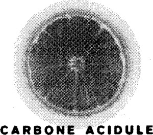 CARBONE ACIDULE_logo