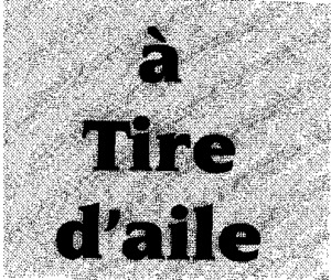 A TIRE D'AILE_logo