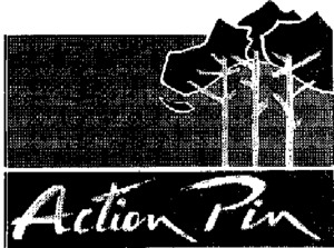 ACTION PIN_logo