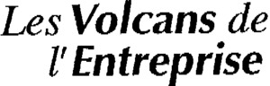 LES VOLCANS DE L'ENTREPRISE_logo