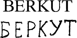 FMARK0000000096633534
