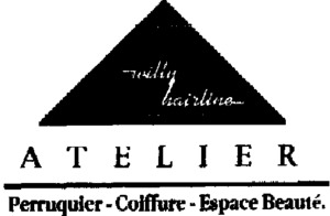 WILLY HAIRLINE ATELIER PERRUQUIER-COIFFURE-ESPACE BEAUTE._logo