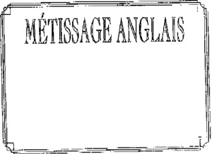 METISSAGE ANGLAIS_logo