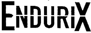 ENDURIX_logo