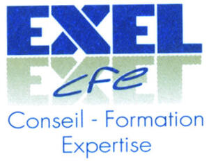 EXEL CFE conseil formation expertise_logo