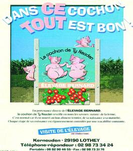 DANS CE COCHON TOUT EST BON ! LE COCHON DE TY NEUDEN ELEVAGE BERNARD_logo
