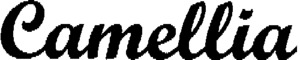 Camellia_logo